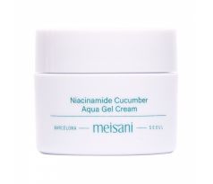 Meisani - Niacinamide Cucumber Aqua Gel Cream 15 ml MINI