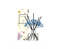 Cocodor Flower Diffuser 120ml Pure Cotton